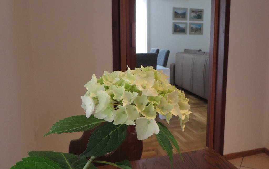 Apartament Hisa Lescer Kobarid Zewnętrze zdjęcie